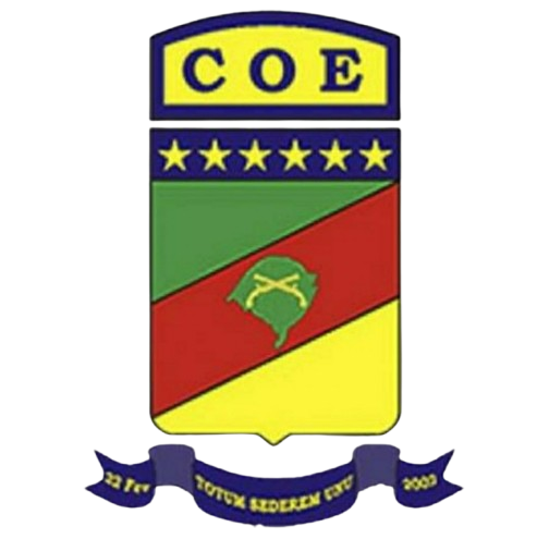 Brasão COE